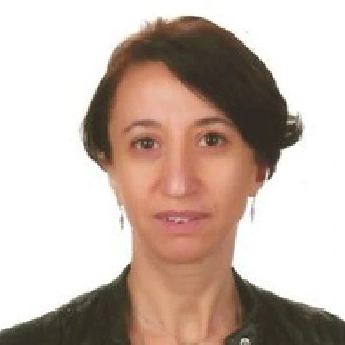 Çeşminaz Eser